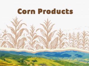 Corn Products