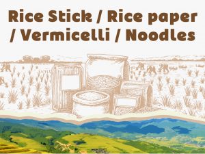 Rice Stick / Rice paper / Vermicelli / Noodles
